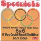 SPOTNICKS - If you could read my mind